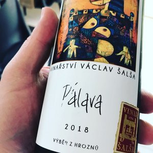 Nikoli. Pálava si tuto nálepku získala trochu neprávem, a asi tomu pispla i velká obliba takových tch polosladkých Pálav nevalné kvality prodávaných barbarským zpsobem stáením do pet láhví. Jako u všeho jiného bychom nemli mít klapky na oích a odrdy i názvy zaazené ve skálopevných krabikách, otevenost nám toti me nabídnout velmi zajímavé záitky.
Záleí toti pedevším na samotném vinai. Kadá odrda lze zpracovat rznými zpsoby, a ji zcela do sucha, nebo s výrazným zbytkovým cukrem. Pálav zbytkový cukr obvykle sluší, nicmén existuje i celá ada perfektn udlaných suchých krásn aromatických vín typické moravské odrdy Pálava.